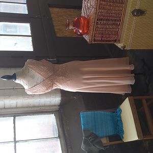 NWT Dress Barn light neutral pink dress with sequence detailing (size 12)